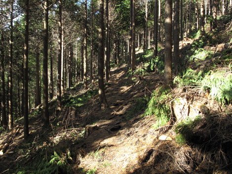 20161216hike (92)